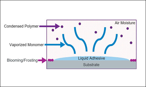 Diagram of how chlorosis or blooming occurs.